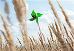 Pinwheel standing in wheatfield