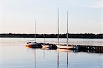 Yachts moored at pier at sunset