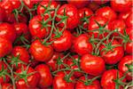 Close-up of Tomatoes at Market