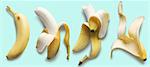 Banane in Phasen der gefressen