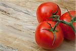 Tomates de vigne, Birmingham, Alabama, USA