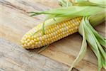 Ear of Corn, Birmingham, Alabama, USA