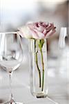 Rosen in der Vase und Weinglas, Toronto, Ontario, Kanada