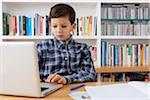 Boy Using Computer