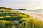 Coastal Scenic, Sound of Taransay, Isle of Harris, Outer Hebrides, Scotland