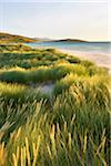 Coastal Scenic, Sound of Taransay, Isle of Harris, Outer Hebrides, Scotland