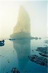 Sea Stack in Mist, Etretat, Normandy, France