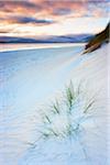 Ondulations dans la plage de sable, Traigh Rosamal, Isle of Harris, Hébrides extérieures en Écosse
