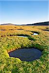 Bassins de marée dans le marais salant, Isle of Harris, Hébrides extérieures en Écosse