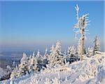 Couverte de neige paysage, Grosser Inselsberg, Brotterode, Thuringe, Allemagne