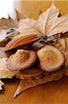 Madeleines d'ardéchoise