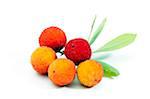 Arbutus berries