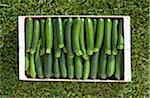 Crate of zucchinis