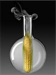 Corn on the cob in a glass chemical testing bottle