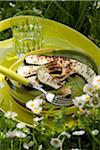 Plate of grilled zucchinis on a tray outdoors