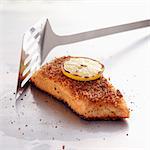 Piece of salmon with parmesan crust