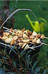 Veau, poulet, oignons de printemps, shiitake et brochettes de thym frais sur le barbecue