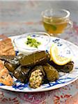 Lebanese  Dolmas