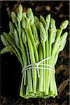 Botte d'asperges sauvages