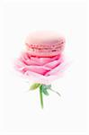 Rose-flavored macaroon on a pink rose
