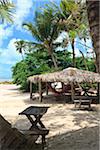 Strohgedeckten Dach-Hütte mit Hängematten, Praia de Tabatinga, Paraiba, Brasilien