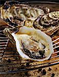 Hot oyster with white wine sabayon