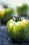 Green Zebra organic tomatoes