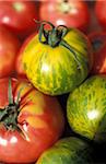 Rouge et vert zèbre de tomates biologiques