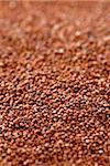 Quinoa grain overall