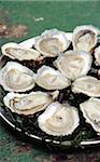 Tray of Special oysters and Belon oysters