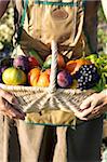 Person holding a basket of vegetables and fruit in the vegetable garden