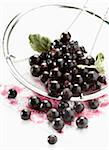 Blackcurrants