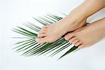 Woman's bare feet on palm frond