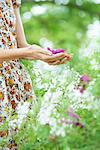 Woman holding purple flowers in cupped hands, mid section