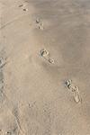 Footprints in sand, high angle view