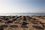 Sunshades on beach, Tunisia