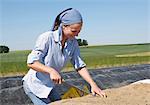 Woman cutting asparagus in field