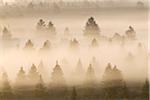 Morning Mist, vallée de l'Isar, Bad Tolz-Wolfratshausen, Haute Bavière, Bavière, Allemagne