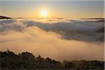 Brouillard, boucle de la Sarre, la Sarre River, vue du Cloef, Mettlach, Merzig-Wadern, Saarland, Allemagne