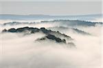 Brouillard, forêt et colline, vue du Cloef, Mettlach, Merzig-Wadern, Saarland, Allemagne