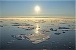 Pack de glace, océan Arctique, mer du Groenland Arctique