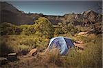 Camping, Zion National Park, Utah, Etats-Unis