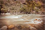 Sentier de la promenade Riverside, Zion National Park, Utah, Etats-Unis