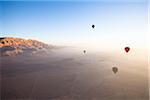 Hot Air Balloons over Luxor, Egypt