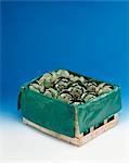 Crate of artichokes