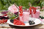 Yoghurt with fresh redcurrants