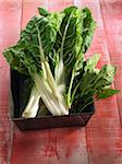 Swiss chard and spinach