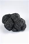 Black truffle