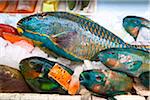 Parrot Fish in Makisha Public Market, Naha, Okinawa, Japan