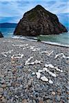 Mots épelés dans les roches sur la plage, Amami Oshima, îles Amami, préfecture de Kagoshima, Japon